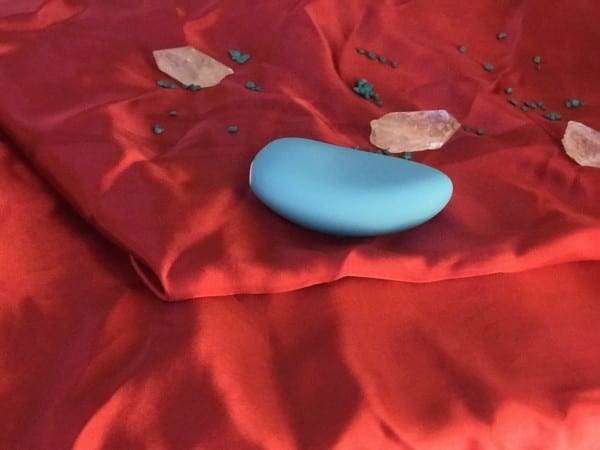 We-Vibe sex toy