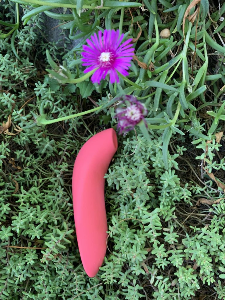 The Melt by We-Vibe rests on some bushes on its side. The head of the toy is static, it cannot be changed like the womanizer womaniser